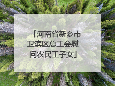 河南省新乡市卫滨区总工会慰问农民工子女