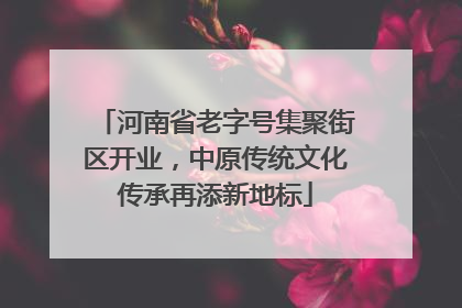 河南省老字号集聚街区开业，中原传统文化传承再添新地标