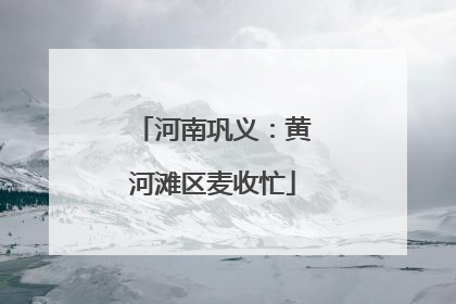 河南巩义：黄河滩区麦收忙