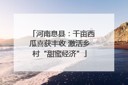 河南息县：千亩西瓜喜获丰收 激活乡村“甜蜜经济”