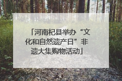 河南杞县举办“文化和自然遗产日”非遗大集购物活动