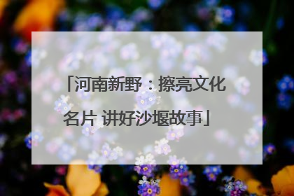 河南新野：擦亮文化名片 讲好沙堰故事