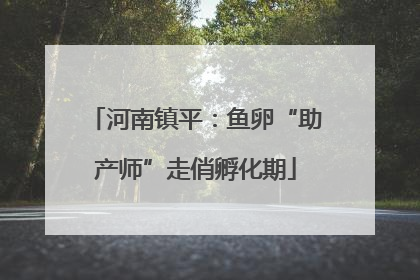 河南镇平：鱼卵“助产师”走俏孵化期