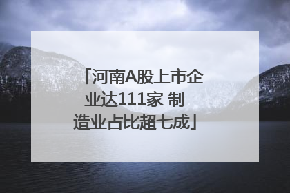 河南A股上市企业达111家 制造业占比超七成