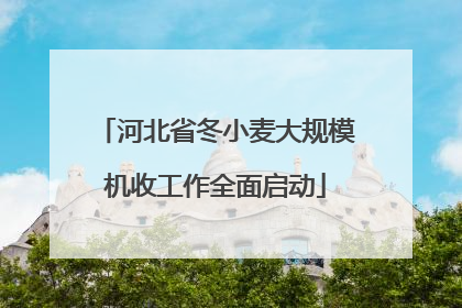 河北省冬小麦大规模机收工作全面启动