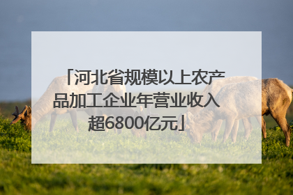 河北省规模以上农产品加工企业年营业收入超6800亿元