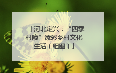 河北定兴：“四季村晚”添彩乡村文化生活（组图）