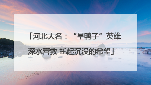 河北大名：“旱鸭子”英雄深水营救 托起沉没的希望