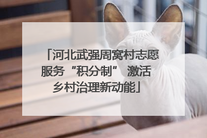 河北武强周窝村志愿服务“积分制” 激活乡村治理新动能
