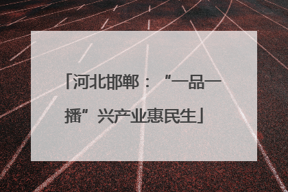 河北邯郸：“一品一播”兴产业惠民生