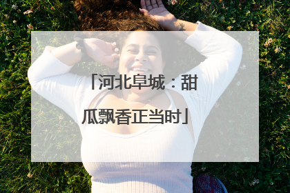 河北阜城：甜瓜飘香正当时