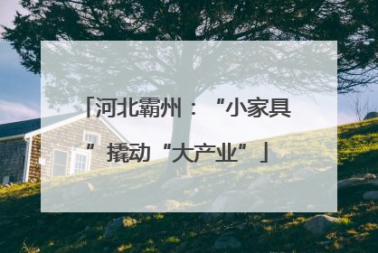 河北霸州：“小家具”撬动“大产业”