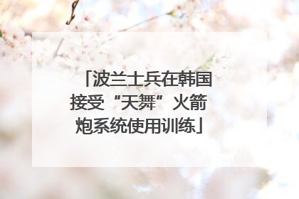 波兰士兵在韩国接受“天舞”火箭炮系统使用训练