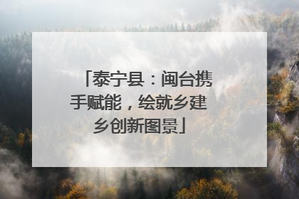 泰宁县：闽台携手赋能，绘就乡建乡创新图景