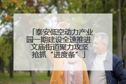 泰安低空动力产业园一期建设全速推进 文庙街道聚力攻坚抢抓“进度条”