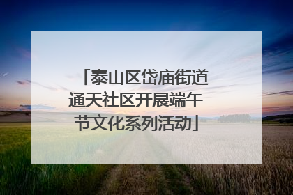 泰山区岱庙街道通天社区开展端午节文化系列活动