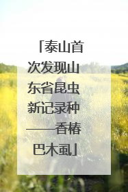 泰山首次发现山东省昆虫新记录种——香椿巴木虱