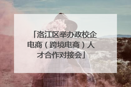 洛江区举办政校企电商（跨境电商）人才合作对接会