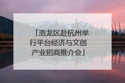 洛龙区赴杭州举行平台经济与文创产业招商推介会