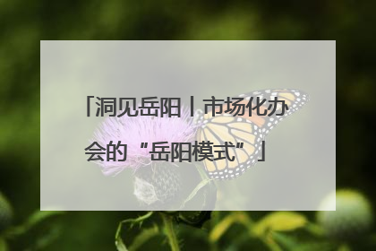 洞见岳阳丨市场化办会的“岳阳模式”