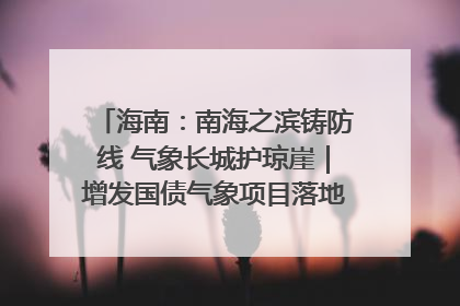 海南：南海之滨铸防线 气象长城护琼崖｜增发国债气象项目落地见效系列报道