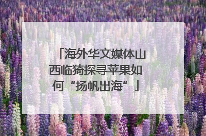 海外华文媒体山西临猗探寻苹果如何“扬帆出海”