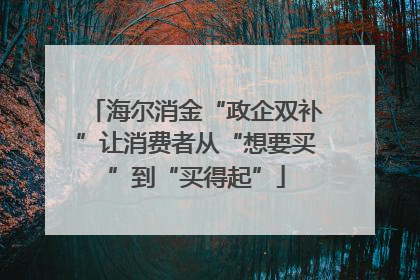 海尔消金“政企双补”让消费者从“想要买”到“买得起”