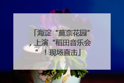 海淀“莫奈花园”，上演“稻田音乐会”！现场直击