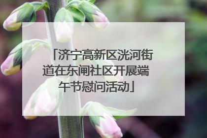 济宁高新区洸河街道在东闸社区开展端午节慰问活动