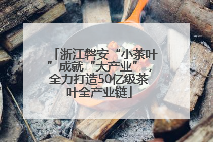 浙江磐安“小茶叶”成就“大产业”，全力打造50亿级茶叶全产业链