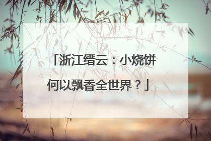 浙江缙云：小烧饼何以飘香全世界？
