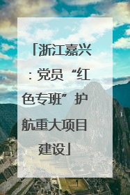 浙江嘉兴：党员“红色专班”护航重大项目建设