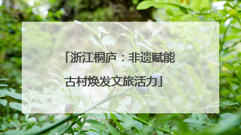 浙江桐庐：非遗赋能古村焕发文旅活力
