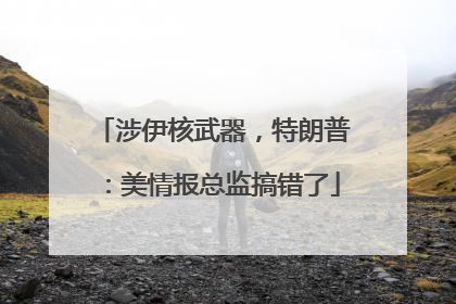 涉伊核武器，特朗普：美情报总监搞错了