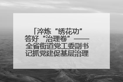 淬炼“绣花功” 答好“治理卷”——全省街道党工委副书记抓党建促基层治理培训示范班侧记