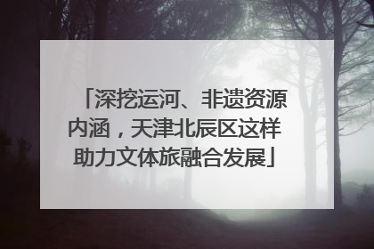 深挖运河、非遗资源内涵，天津北辰区这样助力文体旅融合发展