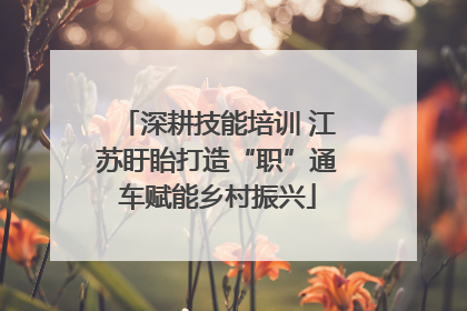 深耕技能培训 江苏盱眙打造“职”通车赋能乡村振兴
