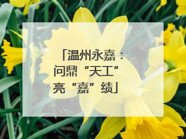 温州永嘉：问鼎“天工”亮“嘉”绩
