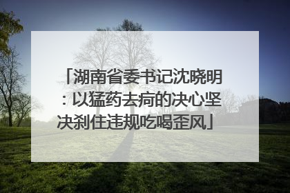湖南省委书记沈晓明：以猛药去疴的决心坚决刹住违规吃喝歪风