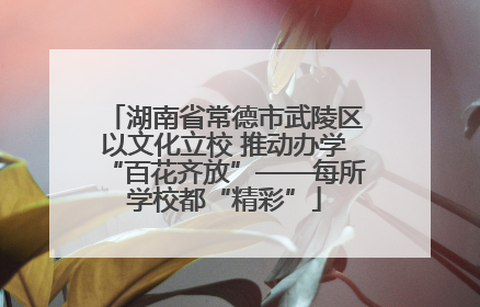 湖南省常德市武陵区以文化立校 推动办学“百花齐放”——每所学校都“精彩”