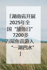 湖南省开展2025年全国“放鱼日” 7200多万尾鱼苗游入“一湖四水”