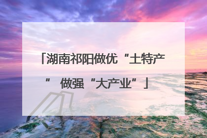 湖南祁阳做优“土特产” 做强“大产业”