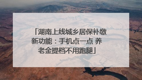 湖南上线城乡居保补缴新功能：手机点一点 养老金提档不用跑腿