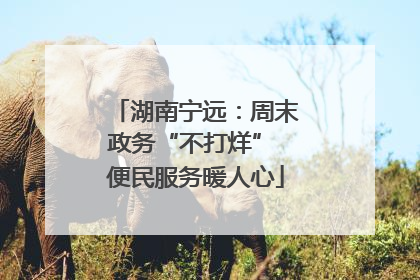 湖南宁远：周末政务“不打烊” 便民服务暖人心