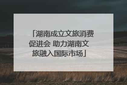 湖南成立文旅消费促进会 助力湖南文旅融入国际市场