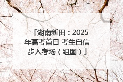 湖南新田：2025年高考首日 考生自信步入考场（组图）
