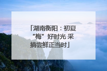 湖南衡阳：初夏“梅”好时光 采摘尝鲜正当时
