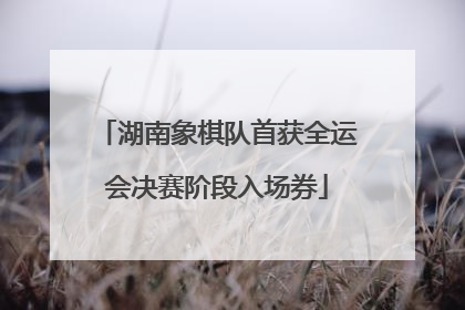 湖南象棋队首获全运会决赛阶段入场券