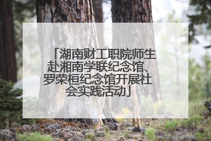 湖南财工职院师生赴湘南学联纪念馆、罗荣桓纪念馆开展社会实践活动