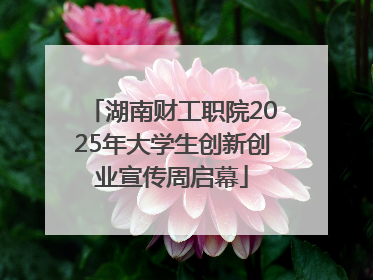 湖南财工职院2025年大学生创新创业宣传周启幕